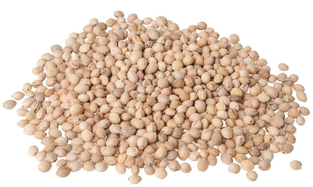 Noccioli di ciliegia, foto